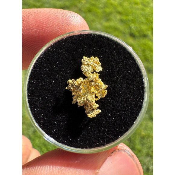 California Native Gold Crystal - 0.63 grams - Picture 5 of 5
